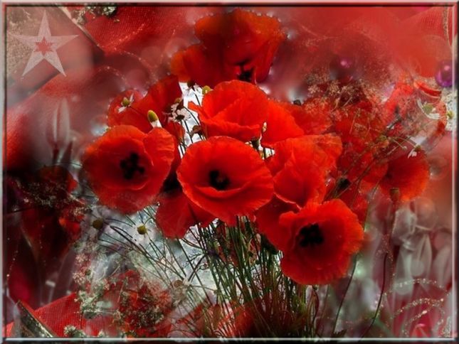 partage_61